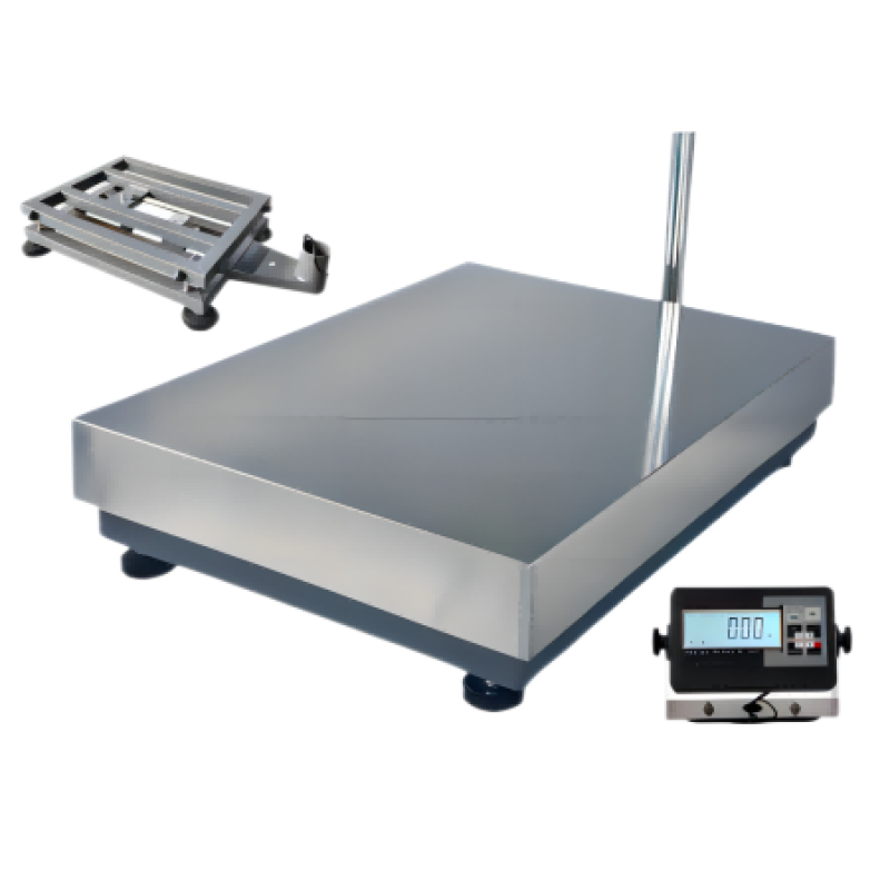 BMS01 Economical Bench Scales 