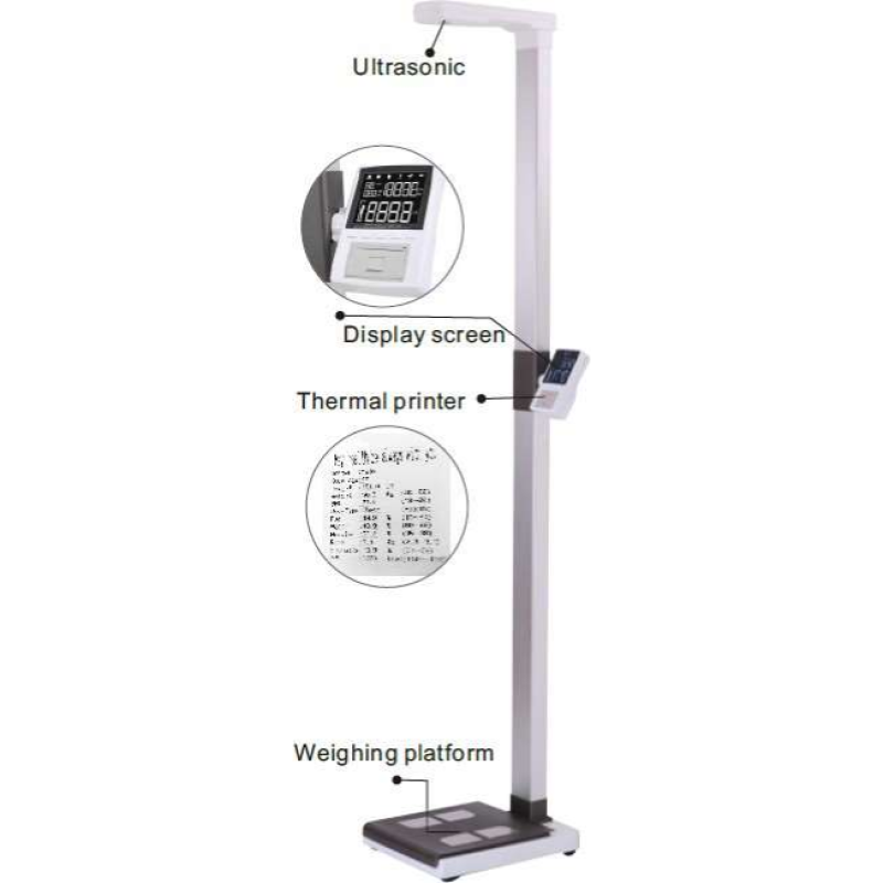 H05 body & height ultrosonic scales 